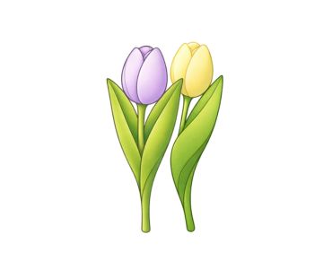 Anyák napja, Nőnap