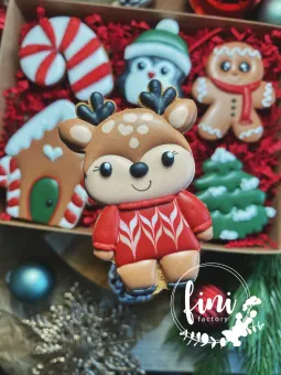 Rénszarvas pulcsiban